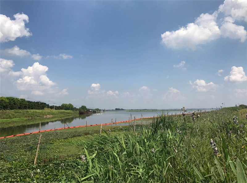 江蘇省淮安市白馬湖沿湖及入湖河道生態(tài)修復(fù)